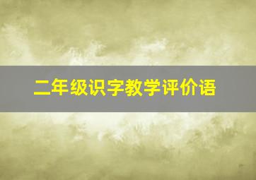 二年级识字教学评价语