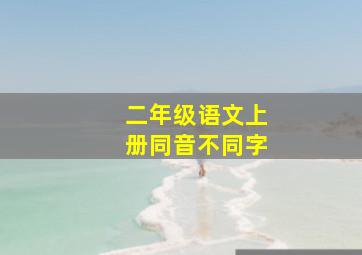 二年级语文上册同音不同字