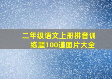 二年级语文上册拼音训练题100道图片大全