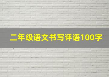 二年级语文书写评语100字