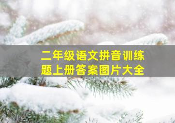 二年级语文拼音训练题上册答案图片大全