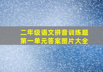 二年级语文拼音训练题第一单元答案图片大全