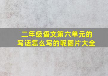 二年级语文第六单元的写话怎么写的呢图片大全