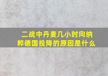 二战中丹麦几小时向纳粹德国投降的原因是什么