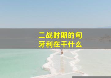 二战时期的匈牙利在干什么