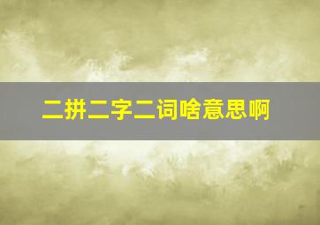 二拼二字二词啥意思啊