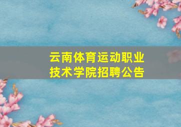 云南体育运动职业技术学院招聘公告