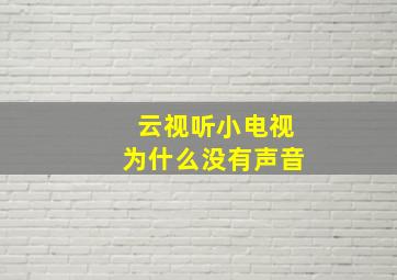 云视听小电视为什么没有声音