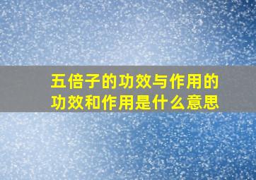 五倍子的功效与作用的功效和作用是什么意思