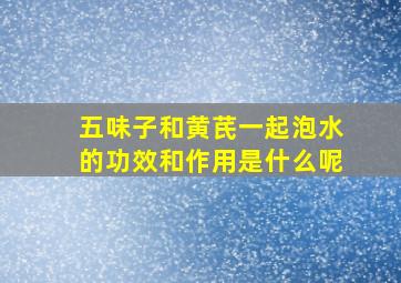 五味子和黄芪一起泡水的功效和作用是什么呢