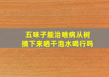 五味子能治啥病从树摘下来哂干泡水喝行吗