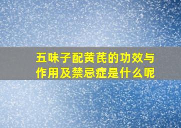 五味子配黄芪的功效与作用及禁忌症是什么呢