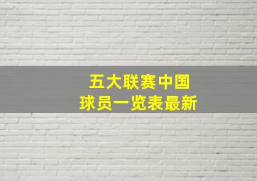 五大联赛中国球员一览表最新