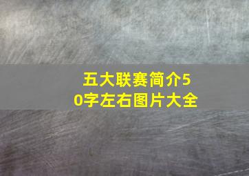 五大联赛简介50字左右图片大全