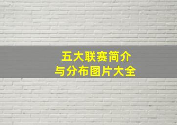 五大联赛简介与分布图片大全