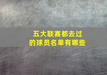 五大联赛都去过的球员名单有哪些