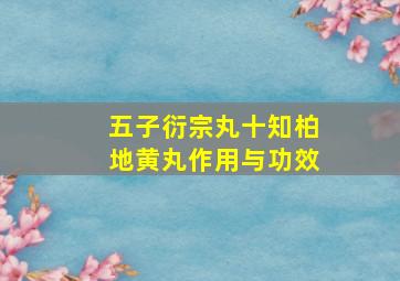 五子衍宗丸十知柏地黄丸作用与功效