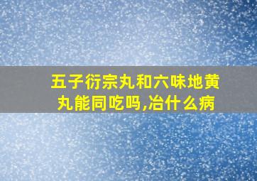 五子衍宗丸和六味地黄丸能同吃吗,冶什么病