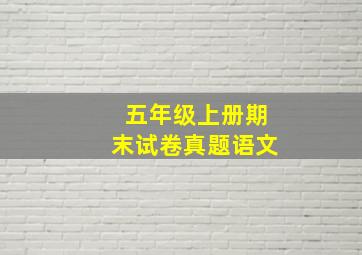 五年级上册期末试卷真题语文