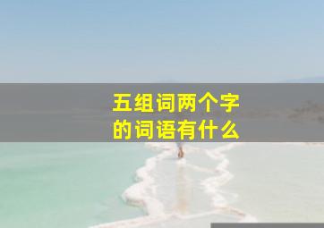 五组词两个字的词语有什么