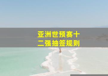 亚洲世预赛十二强抽签规则