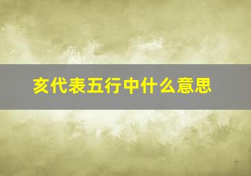 亥代表五行中什么意思