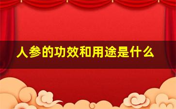 人参的功效和用途是什么