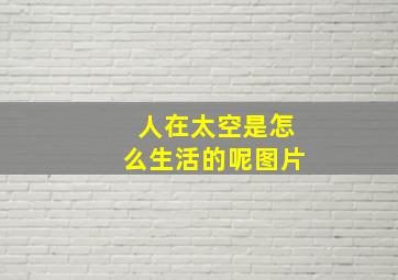 人在太空是怎么生活的呢图片