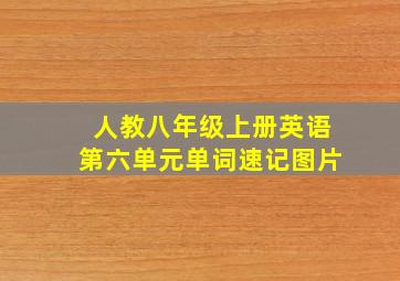 人教八年级上册英语第六单元单词速记图片