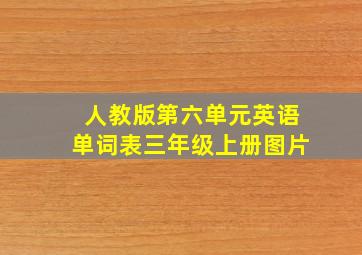 人教版第六单元英语单词表三年级上册图片