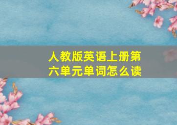 人教版英语上册第六单元单词怎么读