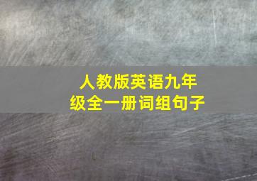 人教版英语九年级全一册词组句子