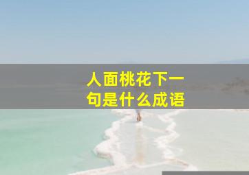 人面桃花下一句是什么成语