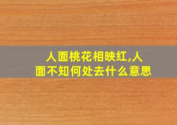 人面桃花相映红,人面不知何处去什么意思