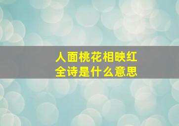 人面桃花相映红全诗是什么意思