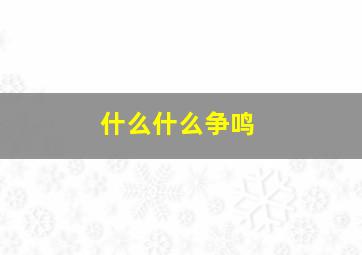 什么什么争鸣