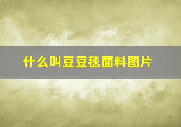 什么叫豆豆毯面料图片