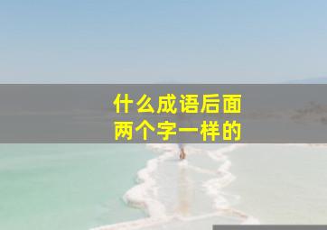 什么成语后面两个字一样的