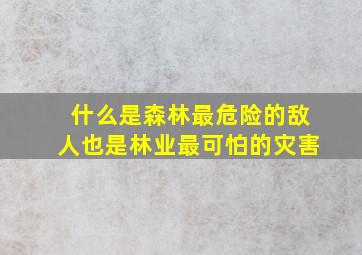 什么是森林最危险的敌人也是林业最可怕的灾害