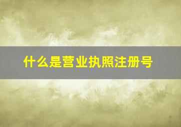 什么是营业执照注册号