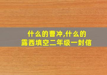 什么的曹冲,什么的露西填空二年级一封信