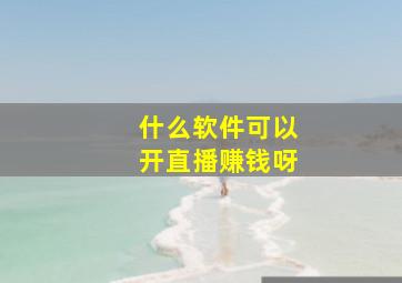 什么软件可以开直播赚钱呀