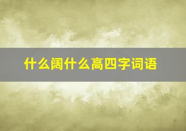 什么阔什么高四字词语