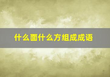 什么面什么方组成成语