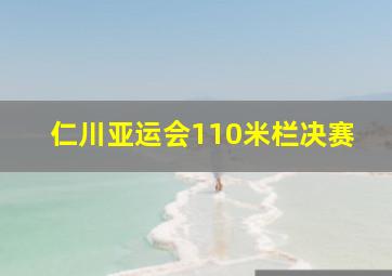 仁川亚运会110米栏决赛