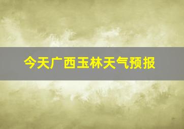 今天广西玉林天气预报