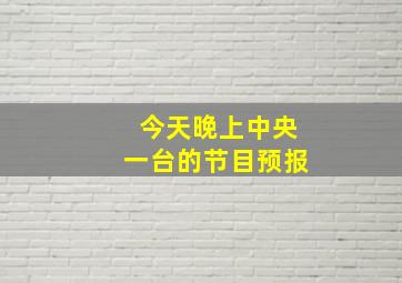 今天晚上中央一台的节目预报