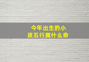 今年出生的小孩五行属什么命