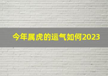 今年属虎的运气如何2023