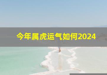 今年属虎运气如何2024